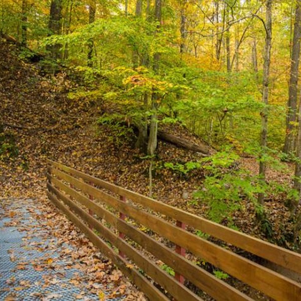 Trail of Tears State Park  - Webpage Image