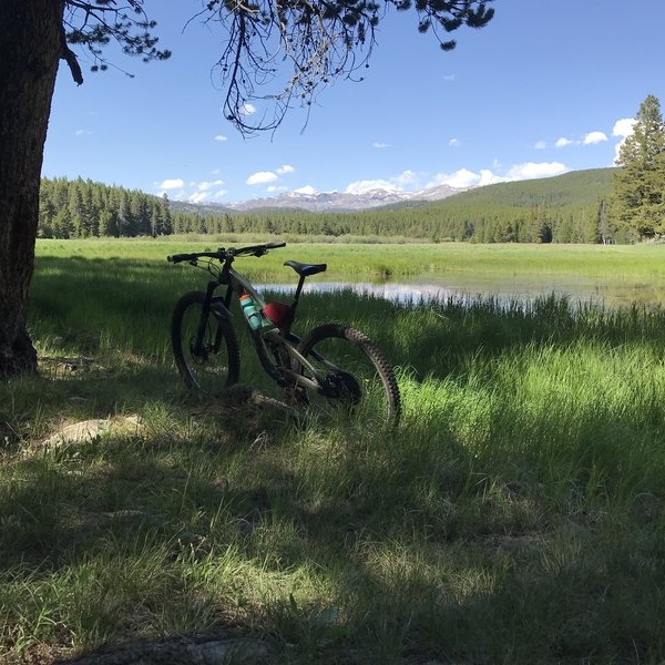 Riders may encounter wildlife such as moose, elk, marmots, and bald eagles, especially near the lake and streams. 