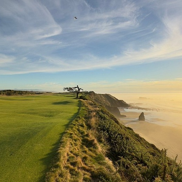 Bandon is internationally recognized for Bandon Dunes, a destination golf resort featuring multiple links-style courses situated among coastal dunes and forest. 