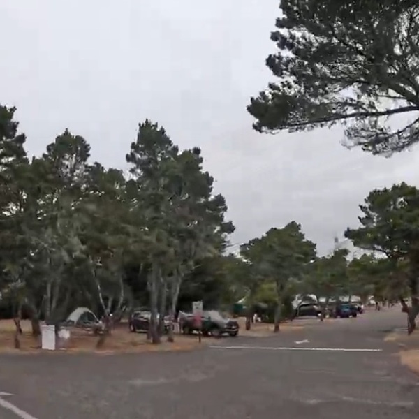 The campground contains 103 full-hookup sites, providing electricity, water, and sewer connections for RV campers who prefer a more convenient camping experience. Another 82 campsites provide electrical hookups and water. 