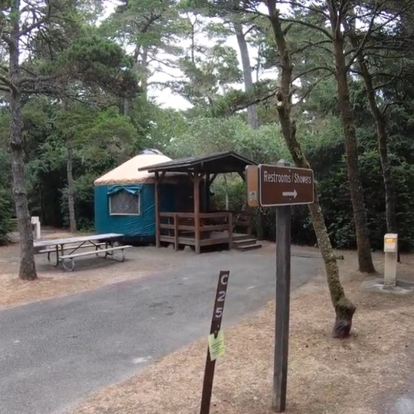 Thirteen yurts provide an alternative to tent and RV camping, including six that are pet-friendly. The yurts require reservations and make it possible to experience the coast without bringing camping equipment. 