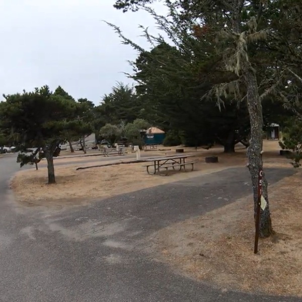 Bullards Beach State Park Campground - Webpage Image