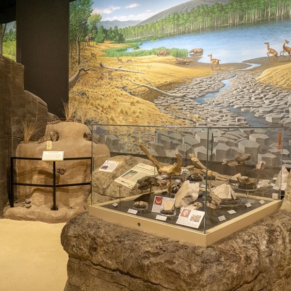 Sheep Rock Unit contains the Thomas Condon Paleontology Center, the monument’s main visitor center, featuring interactive exhibits, fossil displays, and explanations of how climate change shaped prehistoric ecosystems. 
