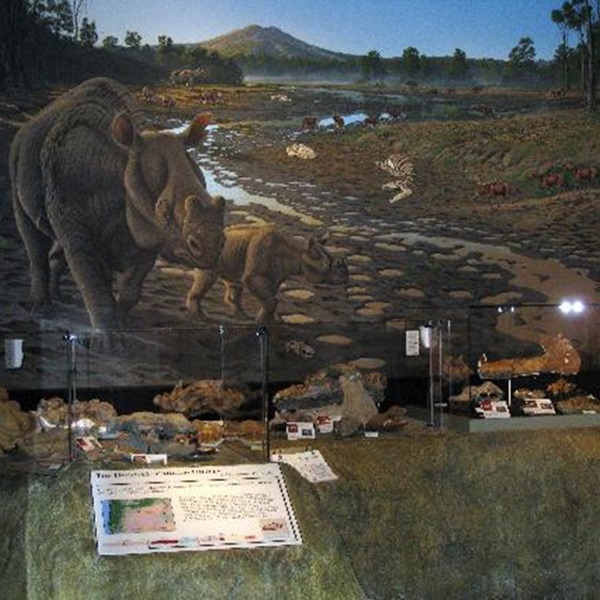 The Clarno Unit showcases some of the monument’s oldest fossils, including remains of ancient subtropical forests, tree stumps, and early mammals preserved in volcanic mudflows.