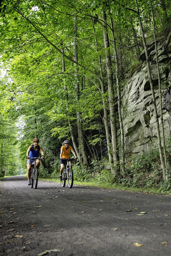 Greenbrier River Trail   - Display Image