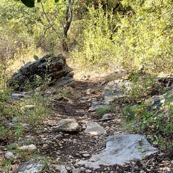 Cyclists encounter a mix of rocky singletrack and moderate climbs, making it a suitable trail for mountain biking enthusiasts rather than casual riders. 