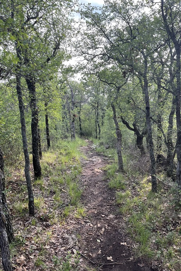 Nopales Ridge Trail - Display Image