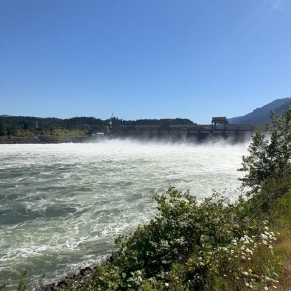 This is one of the first large federally funded hydroelectric projects in the United States, constructed during the Great Depression as part of the New Deal public works programs.  