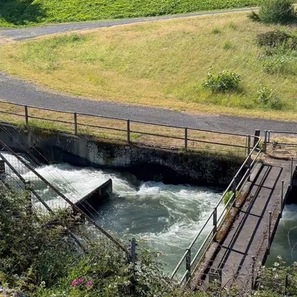 The fish ladder functions as a long series of gradually ascending pools connected by small openings. Each pool reduces the height fish must climb, allowing them to conserve energy.