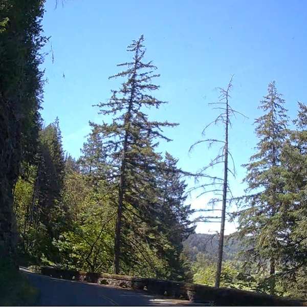 The highway was designed so that nearly every curve reveals a new scenic vista. It was widely recognized as America's first purpose-built scenic highway under the concept that highways could be their own destinations.