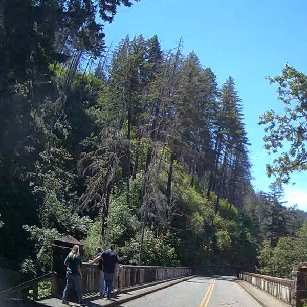 Travelers can easily spend a full day—or several days—exploring the waterfalls, trails, viewpoints, historic landmarks, and nearby communities along the Historic Columbia River Highway.