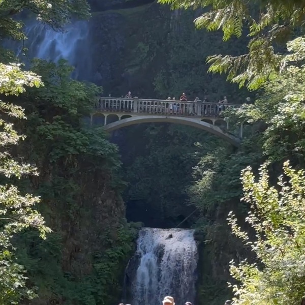Funded by Simon Benson, the Benson Bridge provides one of the best close-up views of both the upper and lower falls and has become one of the most photographed locations in the Columbia River Gorge.