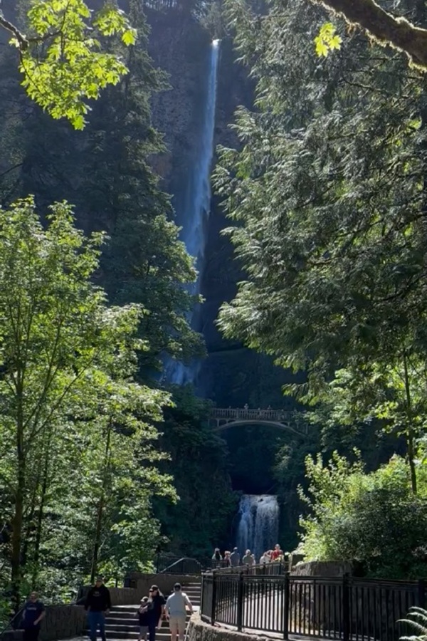 Multnomah Falls  - Display Image