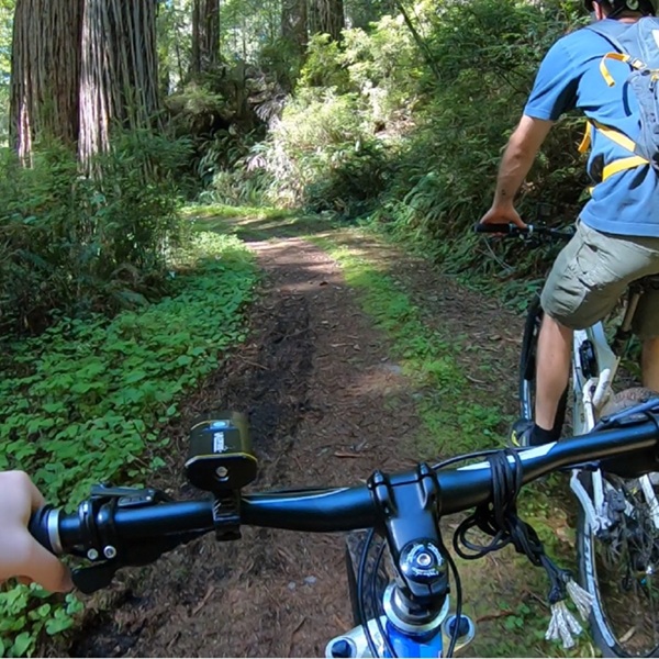 The Last Chance Section of the California Coastal Trail is a scenic multi-use trail that follows a portion of the original 1920s alignment of U.S. Highway 101 through old-growth redwood forests and along the rugged Pacific coastline.