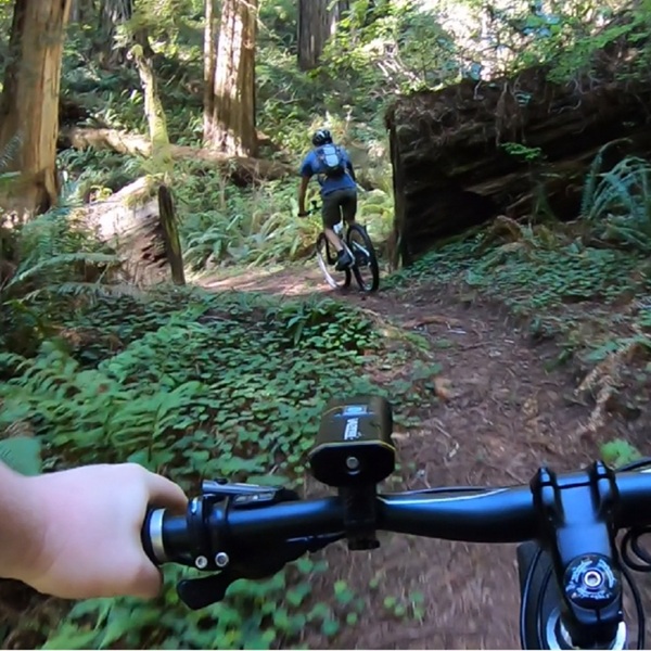 Recommended for mountain biking, this section extends approximately 13 miles between Enderts Beach and the Damnation Creek Trailhead and includes 1,500-plus feet of total elevation change.