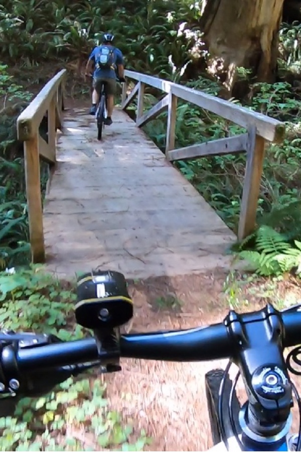 Last Chance Section of Coastal Trail - Display Image