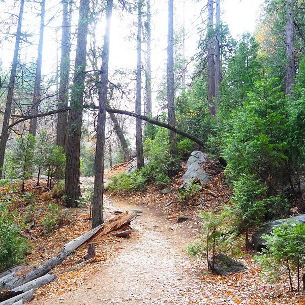 The Seeley Creek Trail is a short hike, less than two mile, that leads to the falls. 