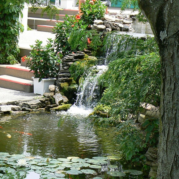 The Whitmire Wildflower Garden is a highlight, featuring more than 800 species of native plants designed into demonstration gardens that showcase sustainable landscaping practices. 