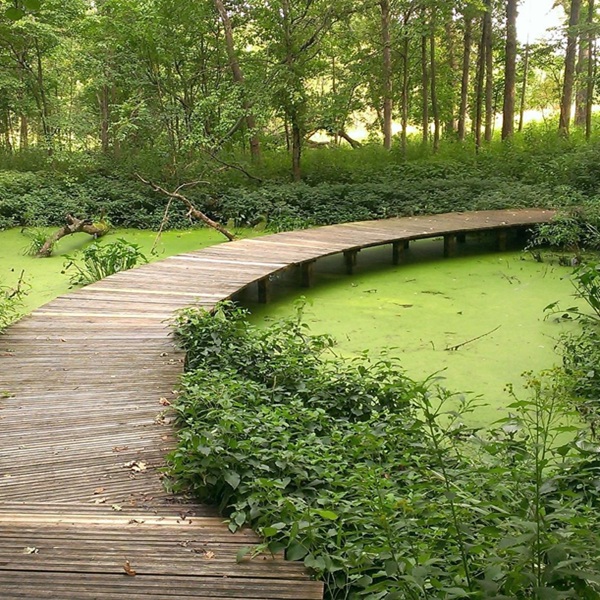 Visitors can explore 14 miles of hiking trails that wind through diverse ecosystems, including prairies, woodlands, glades, and wetlands. 