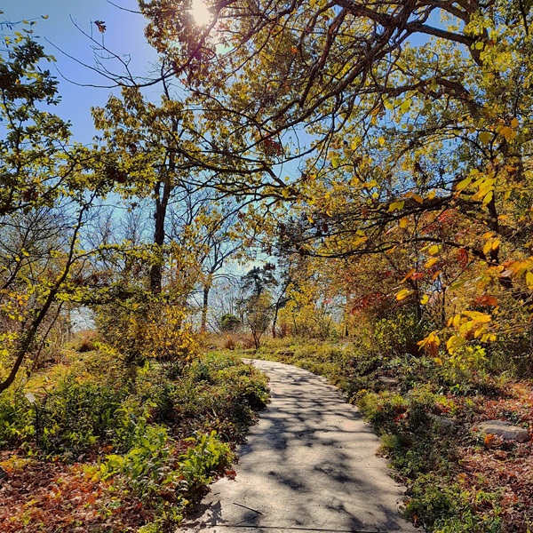 Shaw Nature Preserve  - Webpage Image