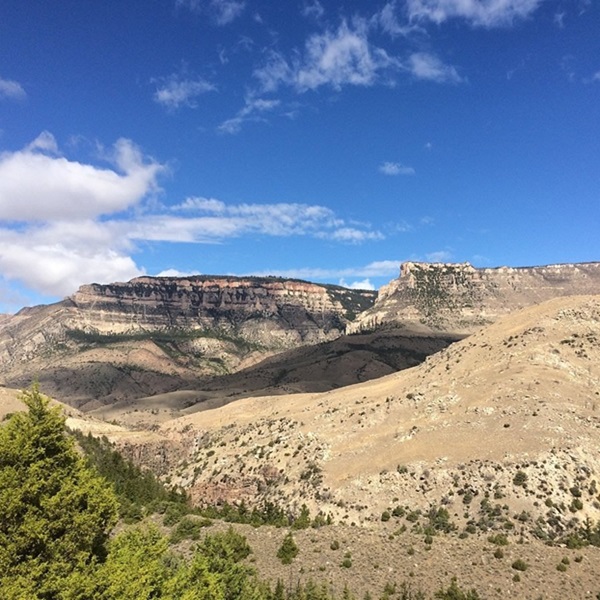 The nearby Bighorn National Forest offers camping, scenic drives, wildlife viewing, and access to high mountain trails with sweeping views. 