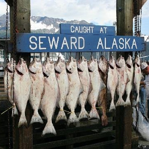 Stops along the highway provide many outdoor recreational opportunities, from hiking to fishing. 