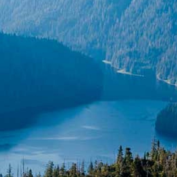 Tongass Narrows is the gateway to Alaska’s Inside Passage.