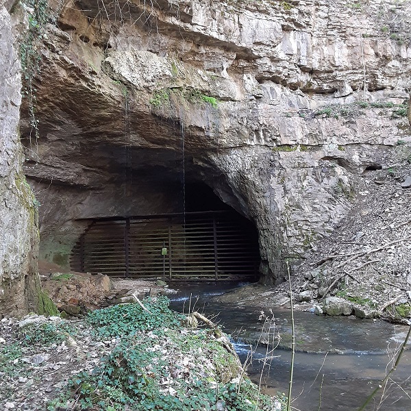 Sauta Cave National Wildlife Refuge  - Webpage Image