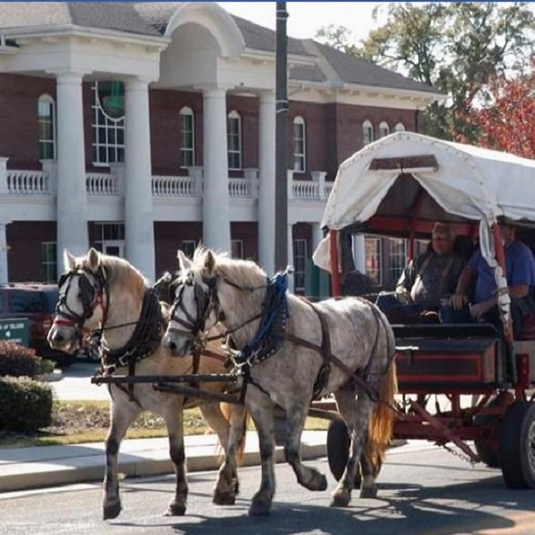 Lineville celebrates its Lineville Heritage Days with a parade, events, and vendors. 