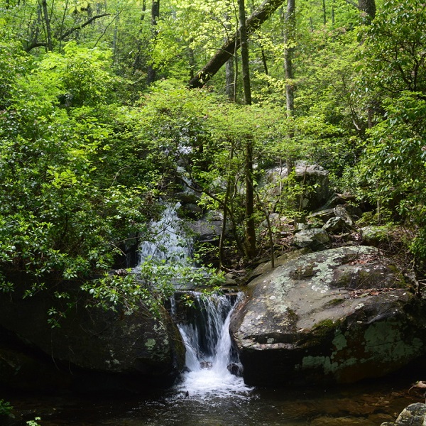 Views of Mill Shoals Cascades and the Upper Falls can be limited when there are leaves on the trees. 