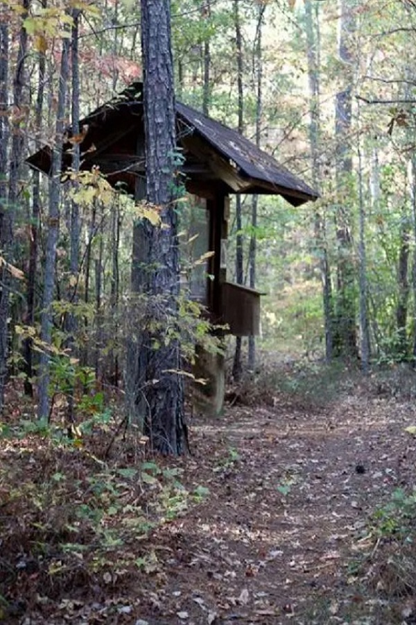 Nubbin Creek Trail  - Display Image