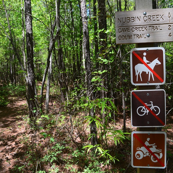 Nubbin Creek Trail  - Webpage Image