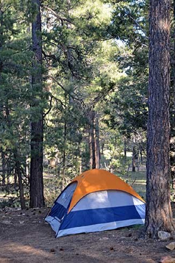 Grand Canyon Campgrounds   - Display Image