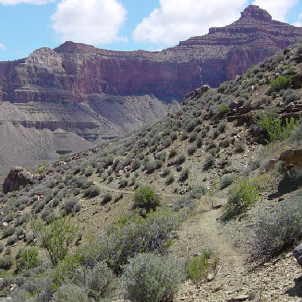 The Tonto Trail runs along the Grand Canyon parallel to the river, connecting other rim-to-river trails. 