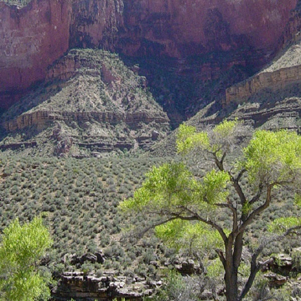 This natural trans-canyon route passes spectacular vertical cliffs from Red Canyon to Garnet Canyon. 
