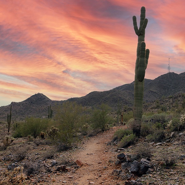 Experience Casa Grande - Webpage Image