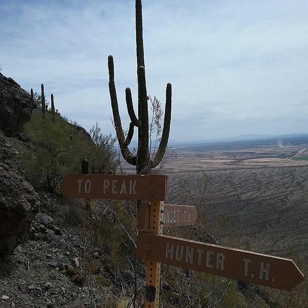 Spectacular views of the Sonoran Desert are offered all along the way to the top. 