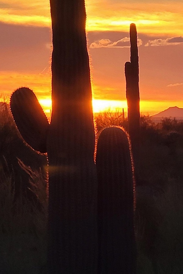 Picacho Peak State Park  - Display Image