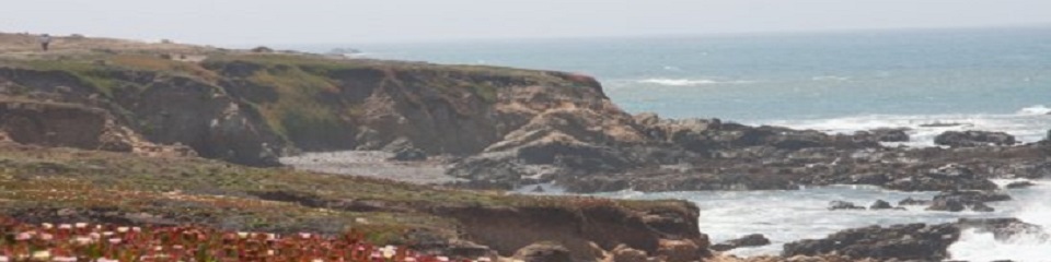 Cambria Chamber of Commerce  - Header Image