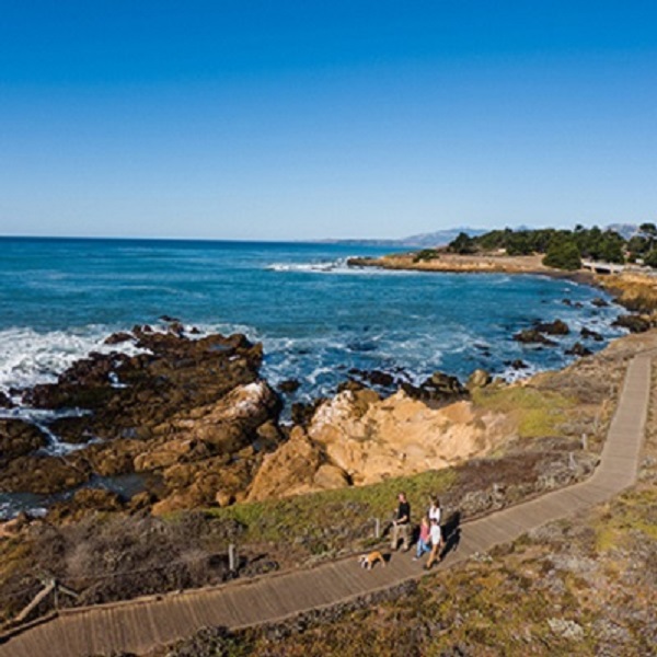 Cambria Chamber of Commerce  - Webpage Image