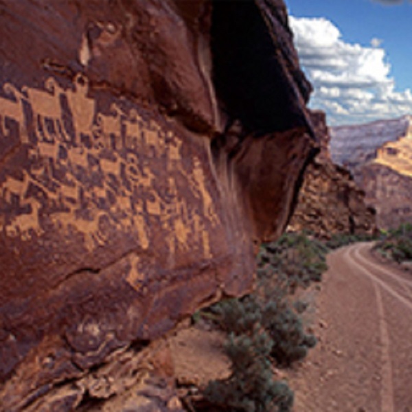 Petroglyphs adorn rocks along off-road trails on BLM land. 