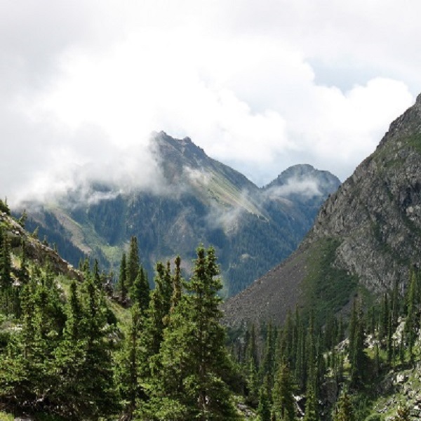 The high peaks of the Rocky Mountains offer a stark contrast to the desert mesas, all part of the San Juan National Forest. 
