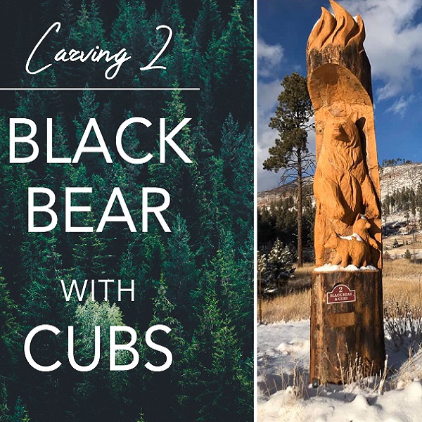 Local artist Chad Haspels created carvings to represent the Bayside’s resiliency following the devastating Missionary Ridge Fire in 2002. 
