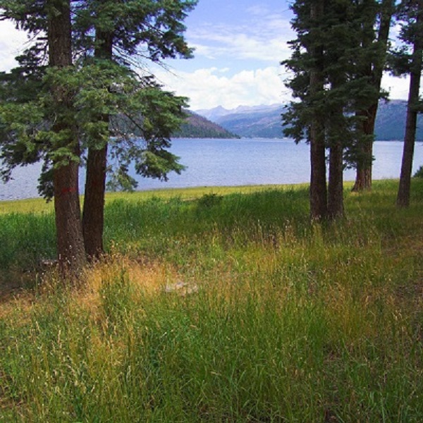 Lake Vallecito, Bayfield’s hidden gem, offers 12 miles of shoreline with a wide range of recreational opportunities, including fishing, boating, swimming, and watersports. 
