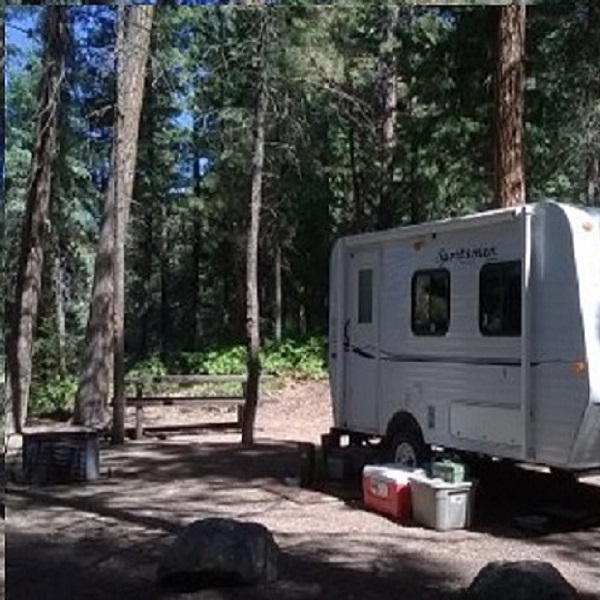 Many of the campgrounds on Lake Vallecito provide lakeside sites for both RVs and tent-campers. 