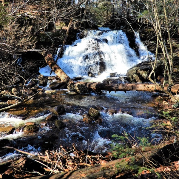 Debris that has washed down following heavy rains adds to the falls. 