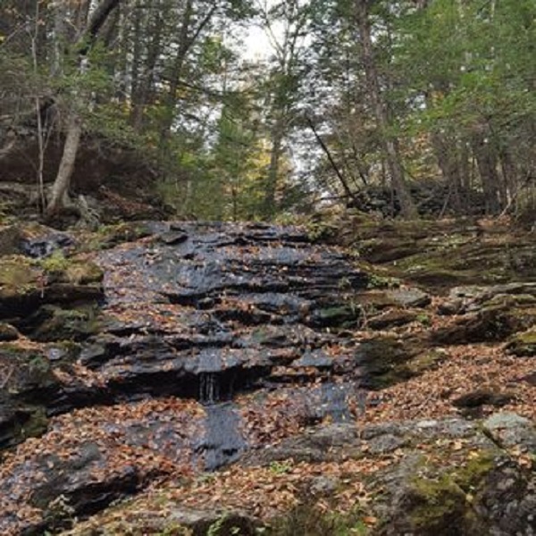 A dry Carpenter’s Falls. 