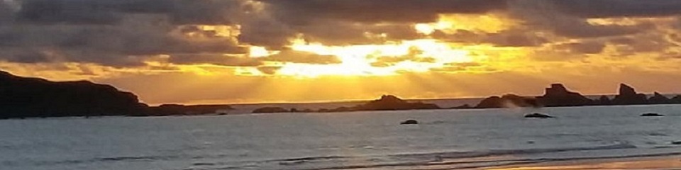 Crescent City-Del Norte Chamber of Commerce      - Header Image