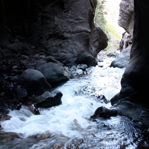 Canyon Creek spills thousands of gallons a water each minute over the falls. 