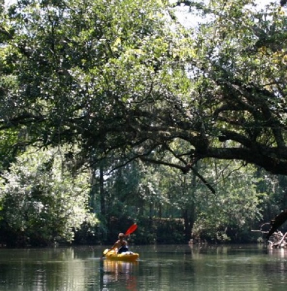Hinson Recreation Area offers excellent kayaking experiences.